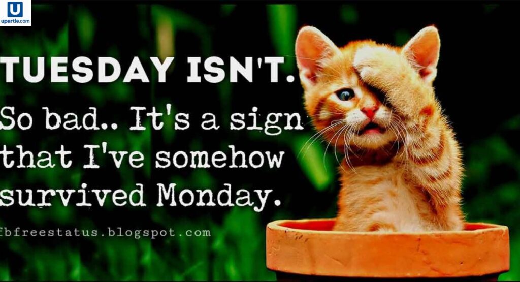 Funny Good Morning and Happy Tuesday Messages