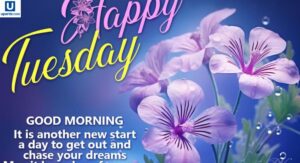 sweet-good-morning-and-happy-tuesday-messages-for-lovers
