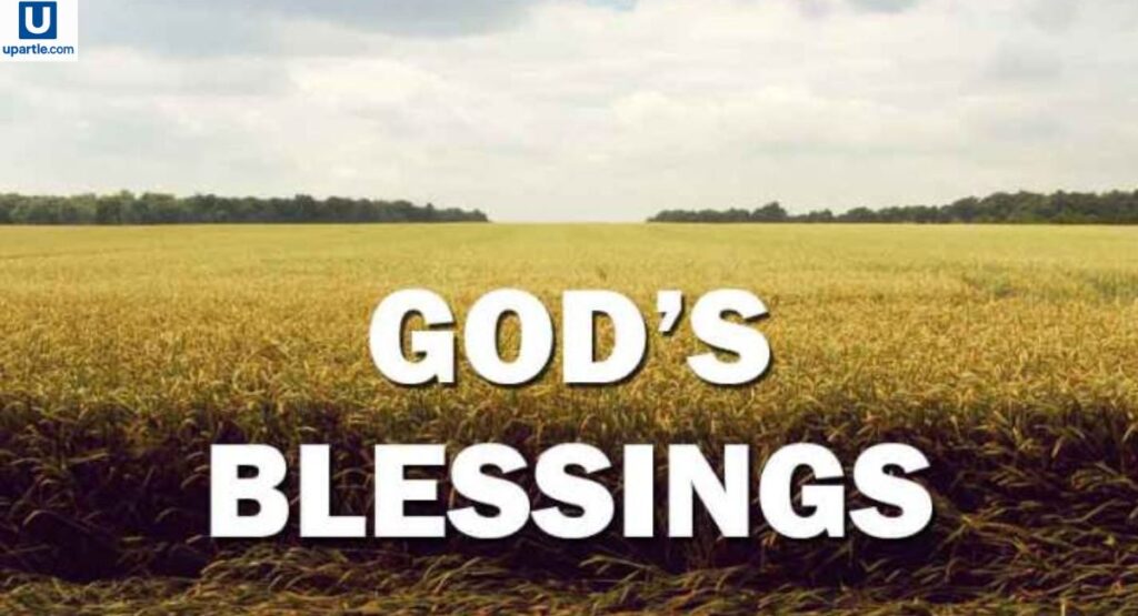 Top Bible Verses About Blessings
