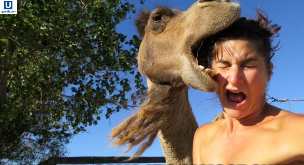 hump-day-hope-and-encouragement