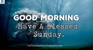 morning-blessings-quotes-to-brighten-your-day-and-fill-your-heart-with-peace