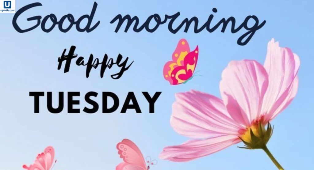 positive-good-morning-tuesday-quotes-for-a-fresh-start
