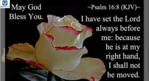 Mondays often feel challenging, but starting your week with prayer Monday blessings can transform your mindset and bring calm, focus, and hope. Taking a moment each Monday to connect with God through Monday morning prayers fills your heart with peace and purpose. Sharing happy Monday blessings with friends or family spreads positivity and strengthens relationships, while reading inspirational Monday blessings inspires courage and faith to face the week ahead. Even a few short Monday blessings can shift your energy, uplift your spirit, and set the tone for a productive and joyful week. Embrace this simple practice and make every Monday a fresh start.