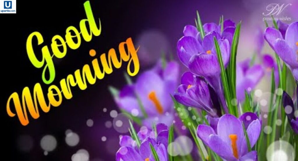 simple-good-morning-greetings