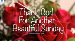 thankful-sunday-blessings-quotes-–-spread-gratitude-and-joy-every-sunday