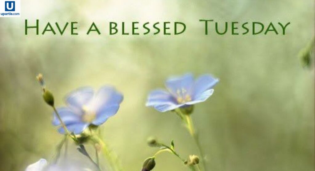blessed-tuesday-quotes-to-uplift-your-spirit