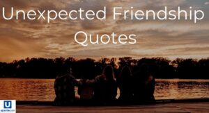 friendship-quotes-that-celebrate-real-bonds-laughter-and-loyalty