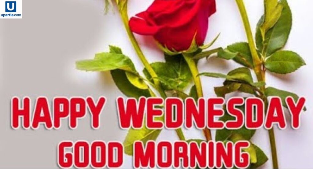 good-morning-happy-wednesday-messages
