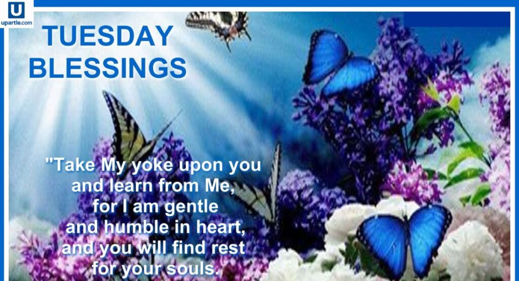 good-morning-tuesday-blessings-with-images
