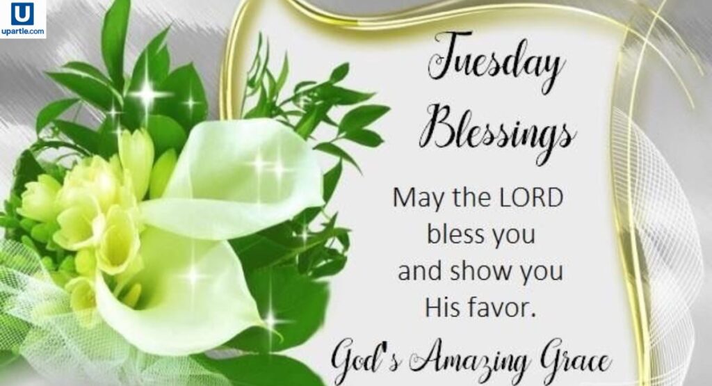 happy-and-blessed-tuesday-greetings
