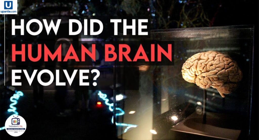 the-history-and-evolution-of-brainy-quotes