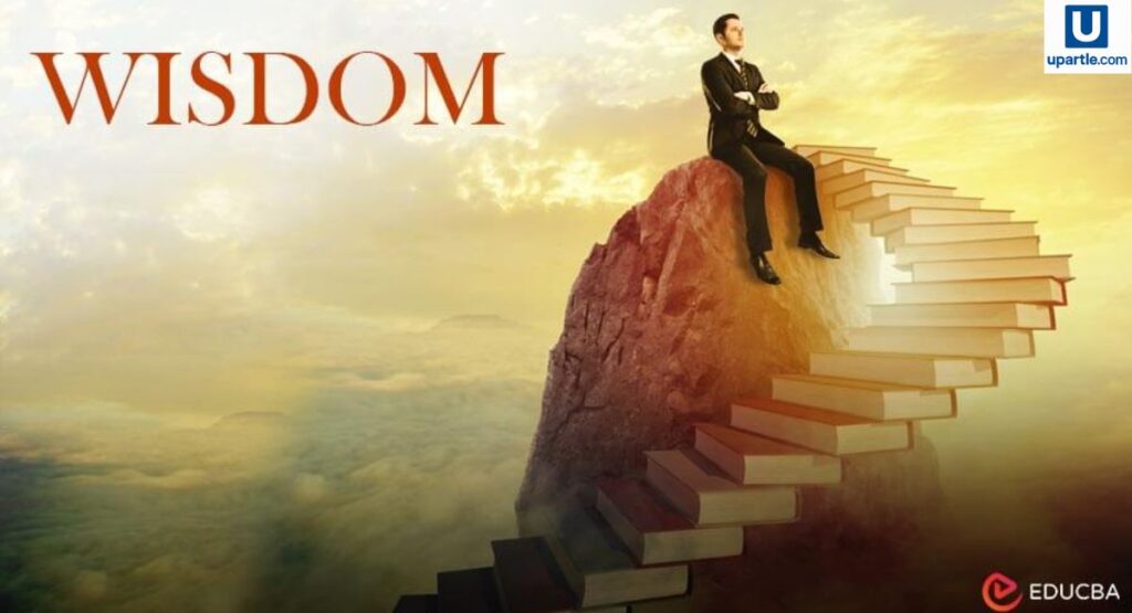 what-is-wisdom-meaning-definition-and-real-life-examples