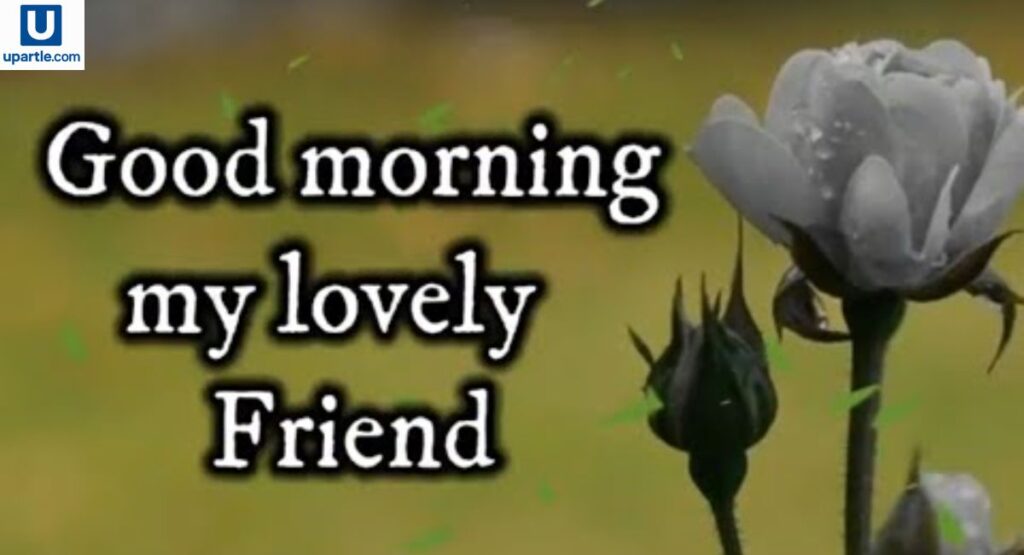 Good Morning Quotes for a Friend