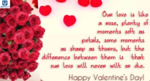 Valentine Quotes: Beautiful Words to Celebrate Love