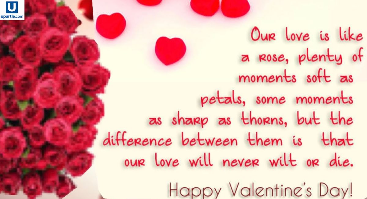 Valentine Quotes: Beautiful Words to Celebrate Love