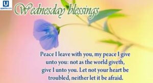 wednesday-blessings-a-beautiful-guide-to-faith-hope-and-midweek-joy