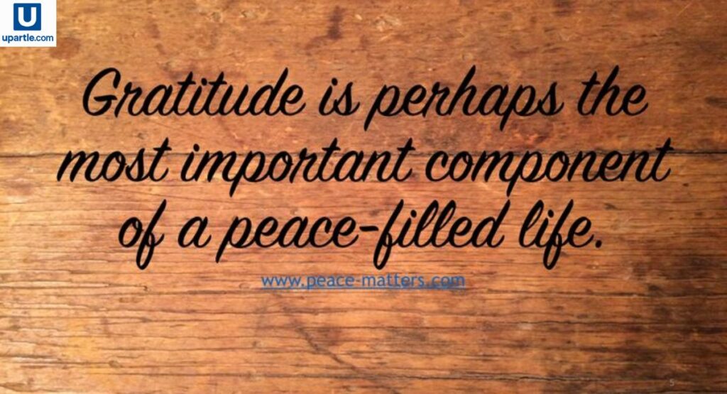 what-are-gratitude-quotes-and-why-they-matter