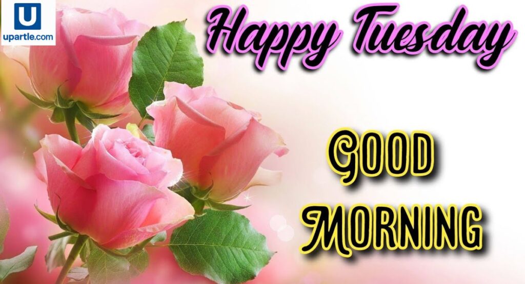 Best Tuesday Morning Wishes for Friends