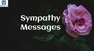 Sympathy Messages Heartfelt Words to Comfort and Support